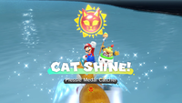 Collecting a Cat Shine in Bowser's Fury