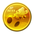 A Mario Kart Tour Rainbow Exploration Agency gold badge