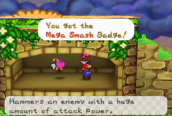 Obtaining the Mega Smash badge in Flower Fields