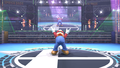 WiiU SmashBros scrnS01 12 E3.png