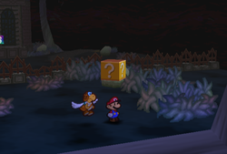 Only ? Block in Boo's Mansion of Paper Mario.