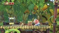 A Fruit Box in Donkey Kong Country: Tropical Freeze