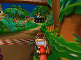 DK and Diddy Kong at the start of the race