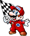 Mario with a checkerboard flag