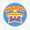 A sticker in Mario Kart World