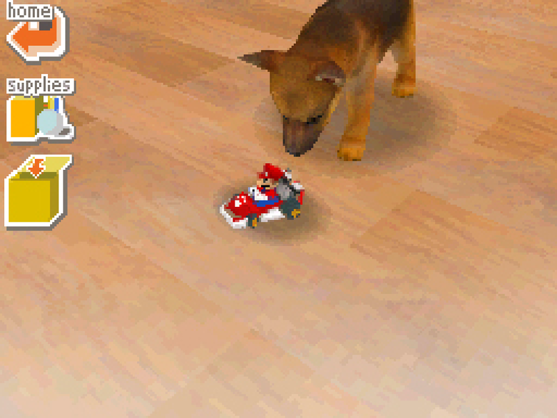 File:NM nintendogs Toy Mario Kart.png