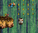 Kiddy Kong jumping into a Tracker Barrel in the level Tracker Barrel Trek from Donkey Kong Country 3: Dixie Kong's Double Trouble!