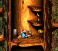 Kiddy and Dixie in a hollow tree