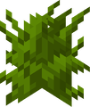 Short Grass