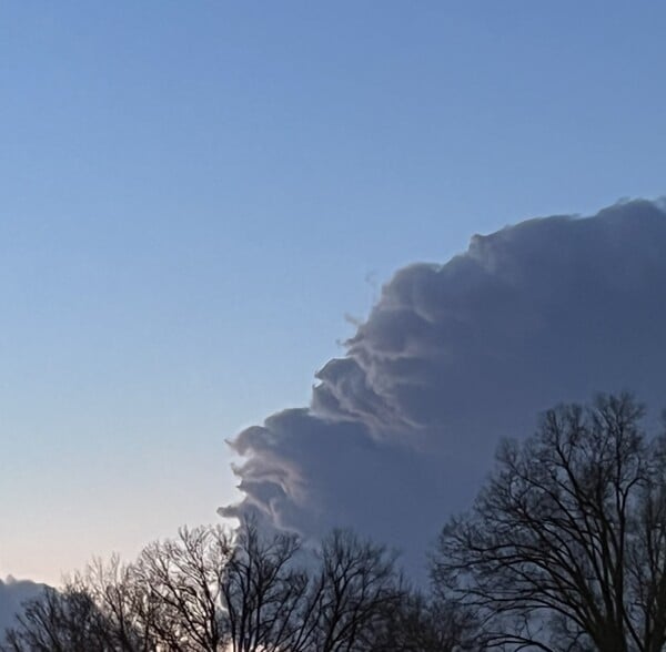 Shroom230Cloudgazing-Weej2.jpg