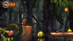 Chomp (Donkey Kong Country series) - Super Mario Wiki, the Mario ...