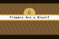 Flowers Are a Blast! in Mario Party Advance