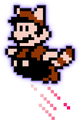 Raccoon Mario in Super Mario Bros. 3