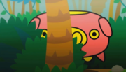 The Oinker hiding and peeking