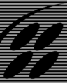 SNES North American Logo.png