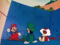 Toad's miscolored shoes