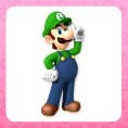 The image for the second answer of the first question in the Play Nintendo skill quiz You can't fail this quiz, depicting Luigi.
