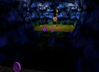 A set of purple Banana Coins and a Bonus Barrel for Tiny Kong in Creepy Castle.