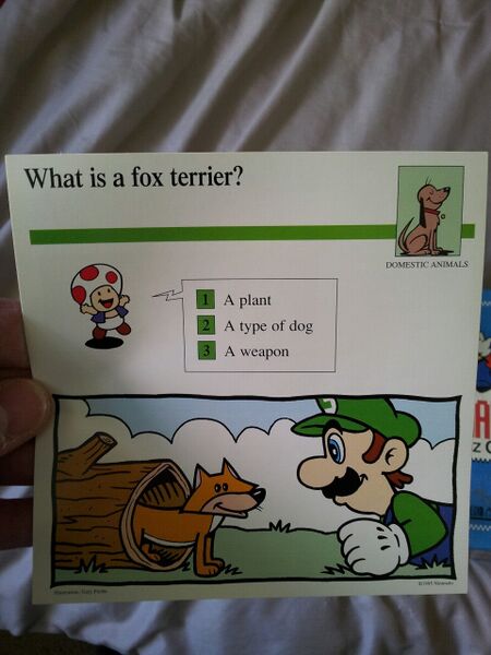 File:Fox terrier quiz card.jpg