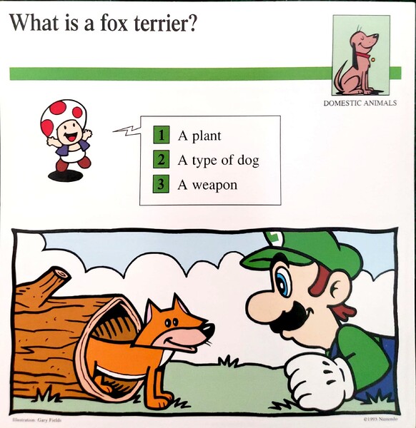 File:Fox terrier quiz card.jpg