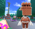 The course icon with the Castle Mii Racing Suit