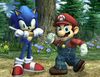 Screenshot of Mario and Sonic the Hedgehog in Super Smash Bros. Brawl
