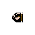 Bullet Bill ( 20)