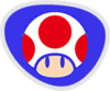 Toad's Rio Olympic Flag