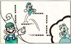 Part from the manual of Super Mario Bros. (Game & Watch).