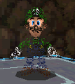 Vanish Luigi
