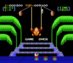 Donkey Kong 3 (Nintendo Entertainment System)