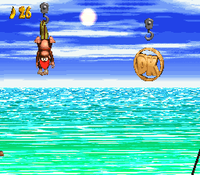 Diddy Kong and Dixie Kong hanging from a hook to the left of another with the DK Coin