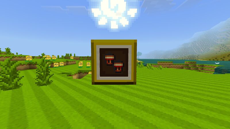 File:Minecraft Mario Mash-Up Super Acorn.jpg