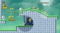 A false wall in World 7-5 from New Super Mario Bros. Wii