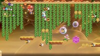 The third 10-flower coin in Gnawsher Lair in Super Mario Bros. Wonder