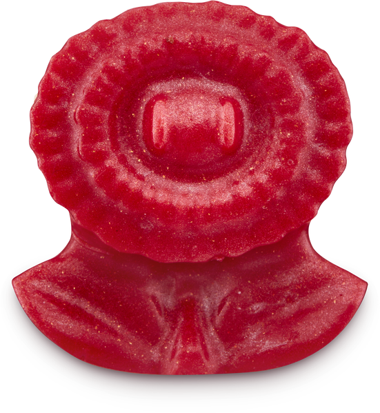 File:TSMGM Lush Red Gummy.png