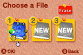 File selection screen