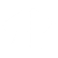 Kung Fu