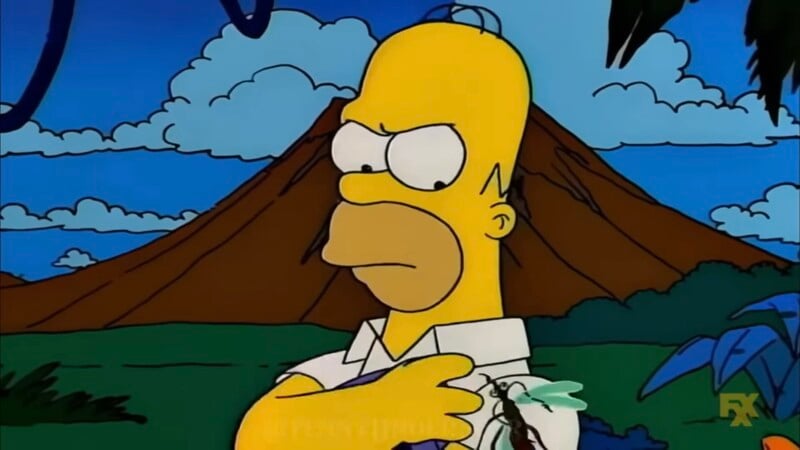 File:Shroom228 Homer CD mosquito.jpg