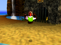 A Golden Banana for Chunky Kong on DK Isles.