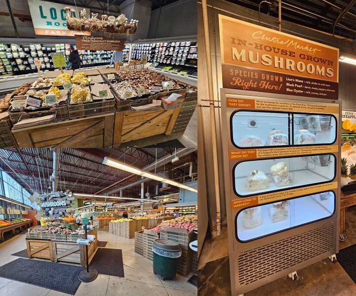 File:HalfBaked 208 18.jpg