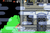 The intro cutscene for a Ghost House, as seen in Super Mario World: Super Mario Advance 2.