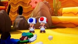 The Toad in the Sand side quest in Mario & Luigi: Brothership.