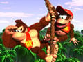 Donkey and Diddy Kong on a rope.