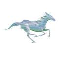 A running horse