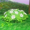 Squared screenshot of flowers in the Mushroom Kingdom from Super Mario Odyssey.