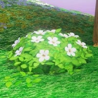 SMO Screenshot Flower (Mushroom Kingdom).jpg