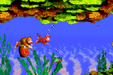 Coral Capers