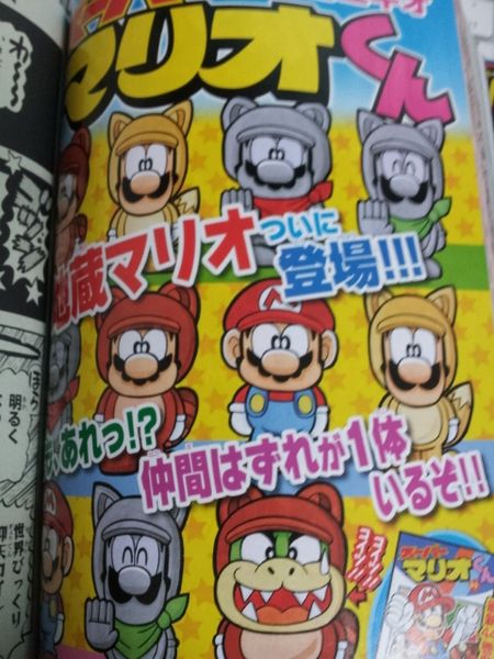 File:Tanookies Super Mario-Kun.jpg