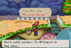 Mario receiveing Miracle Water from Lily in Flower Fields of Paper Mario.